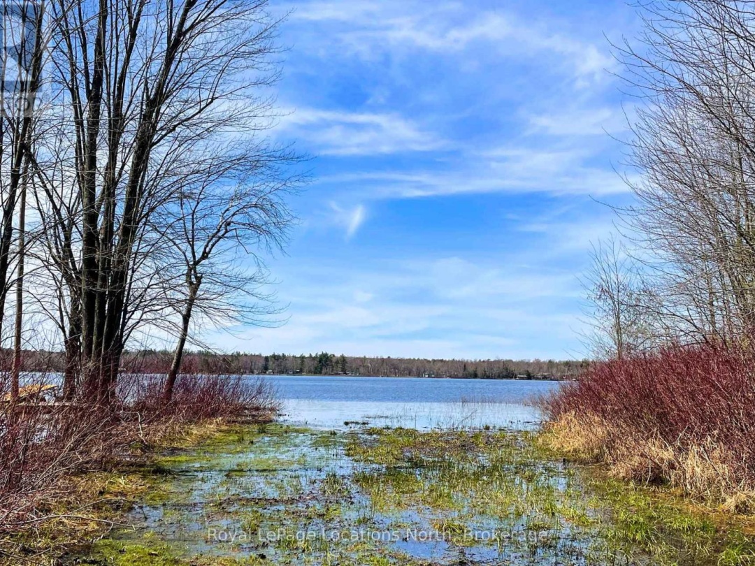 239 Monck Rd Cty 45, Young Lake