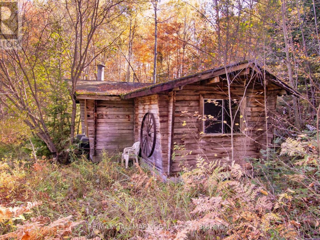 3517 HALIBURTON LAKE ROAD, 