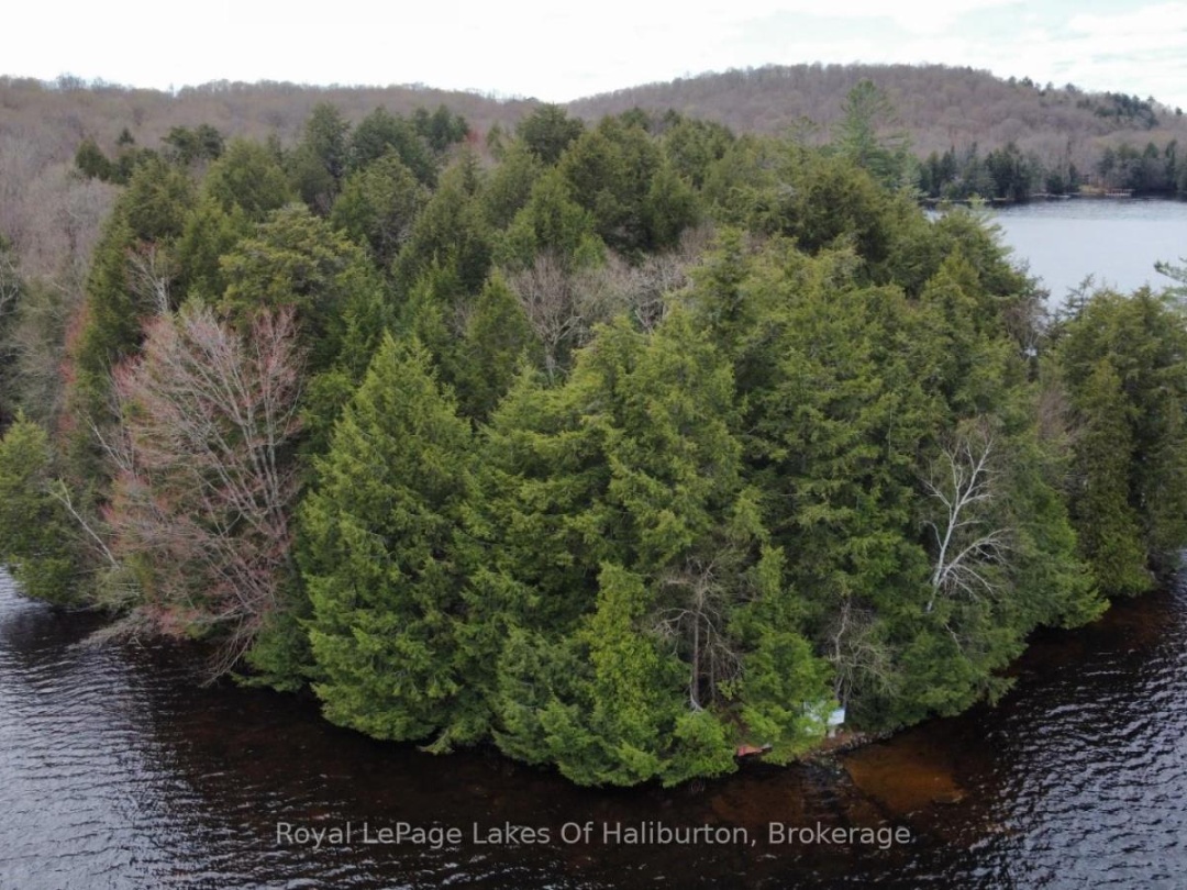 1017 Palace Drive, Little Kennisis Lake