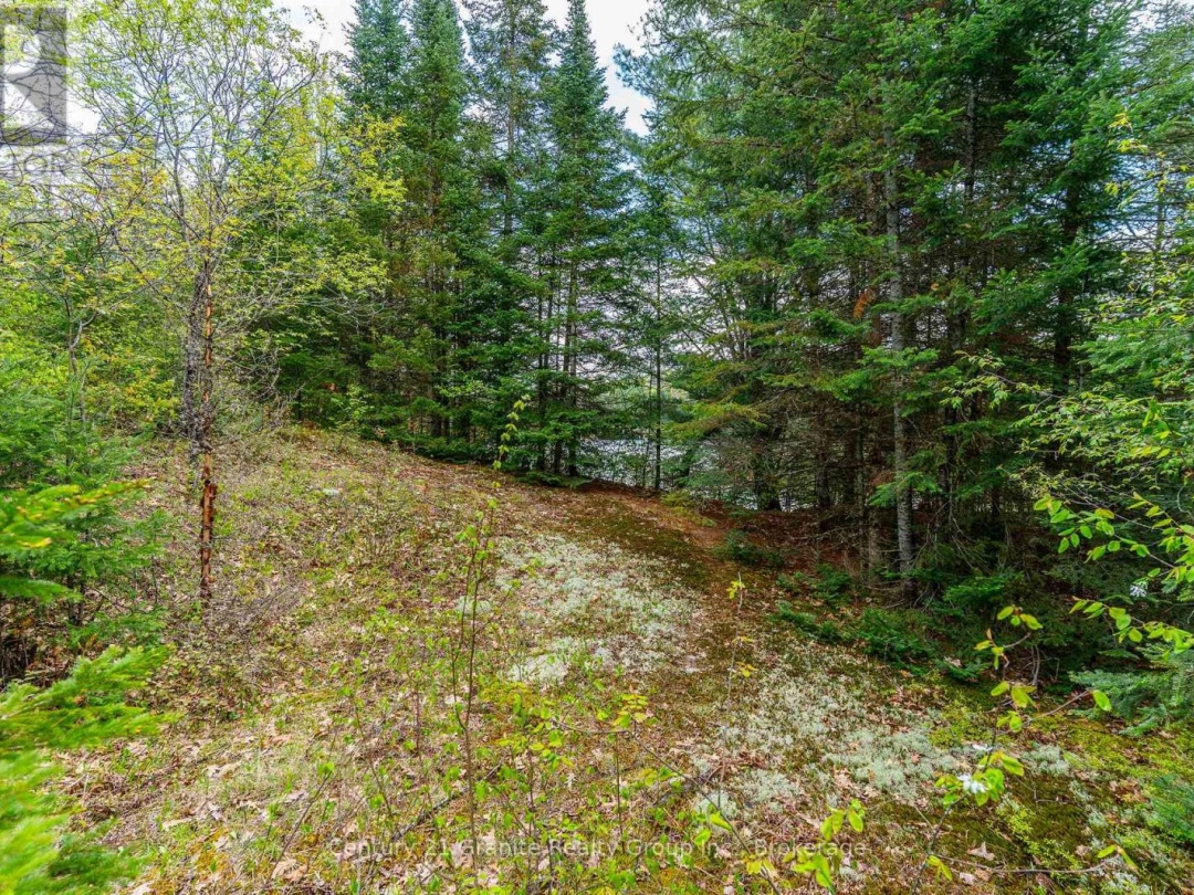 0 Koshlong Lake Road, Burnt Lake