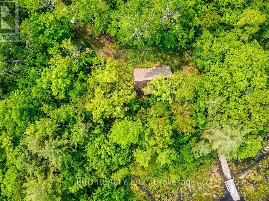 382 Corrievale Road, Little Lake