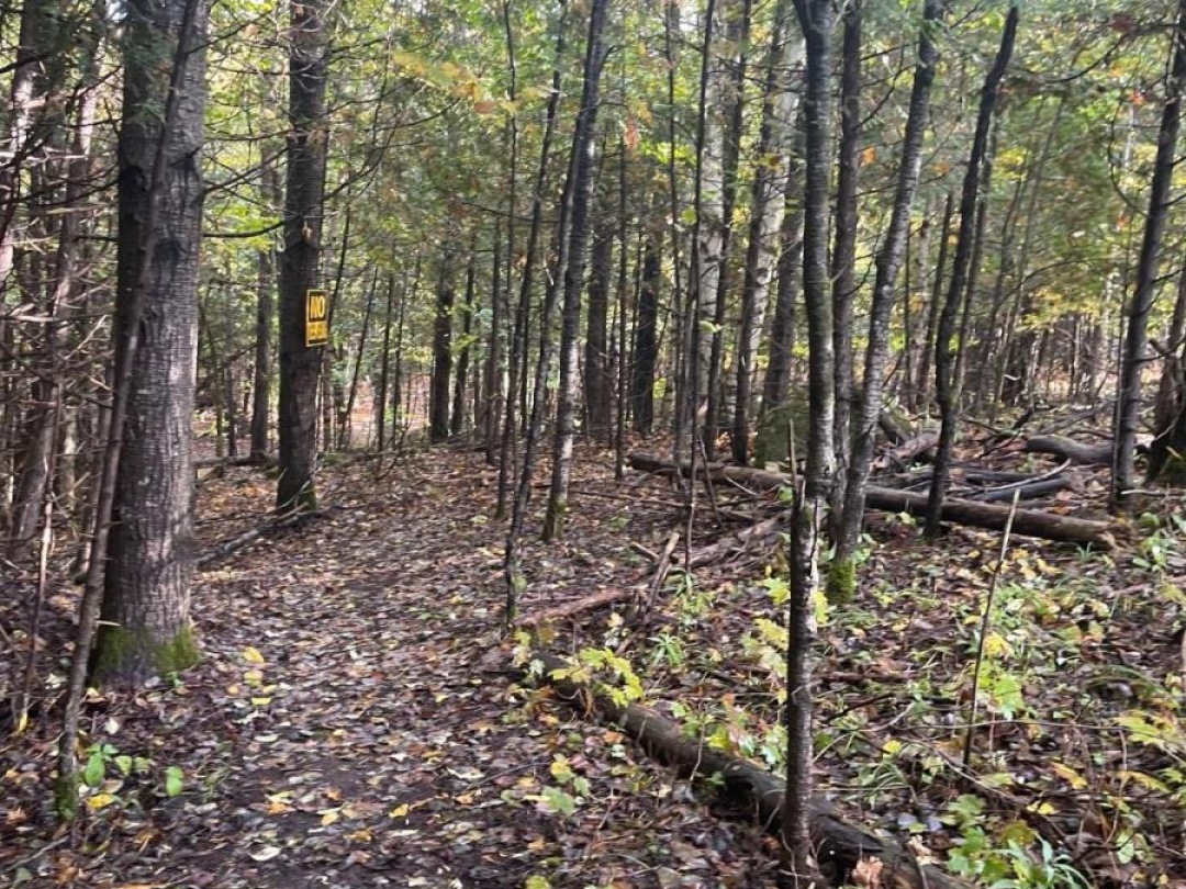 Lot 67 Chelsea Lane, Maple Lake