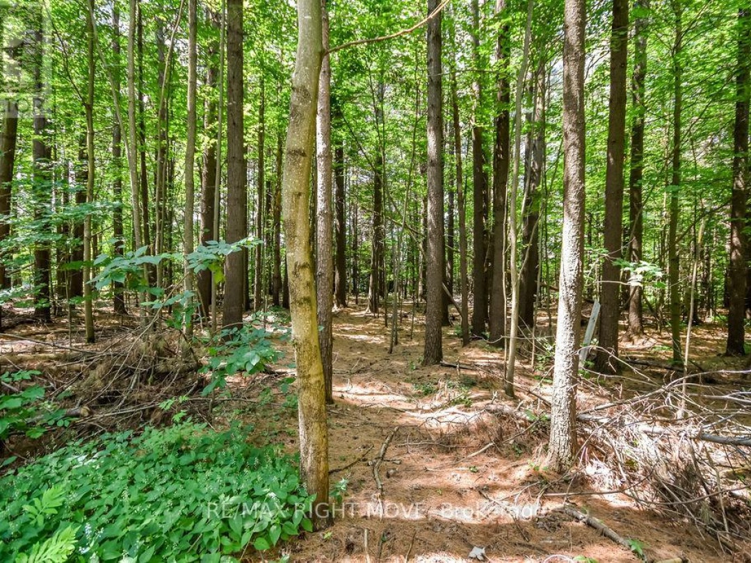 1011 TALBOT TRAIL, 