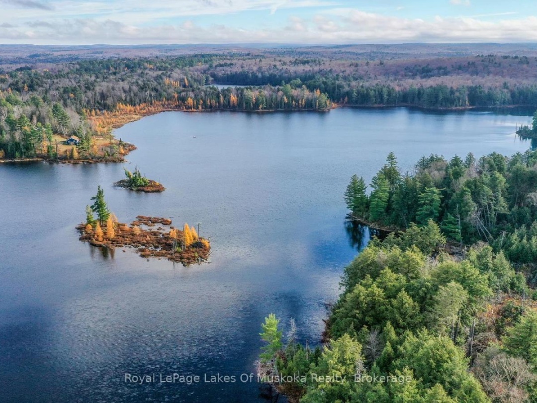 1420 Limberlost Road, Pell Lake