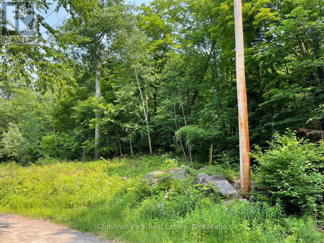 0 COLEMAN LAKE ROAD, 