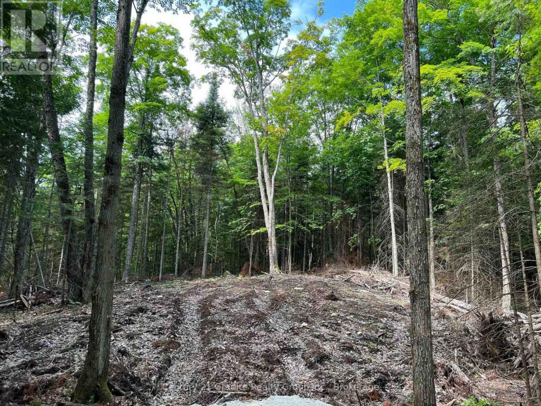 LOT 26 WEST COURT, 