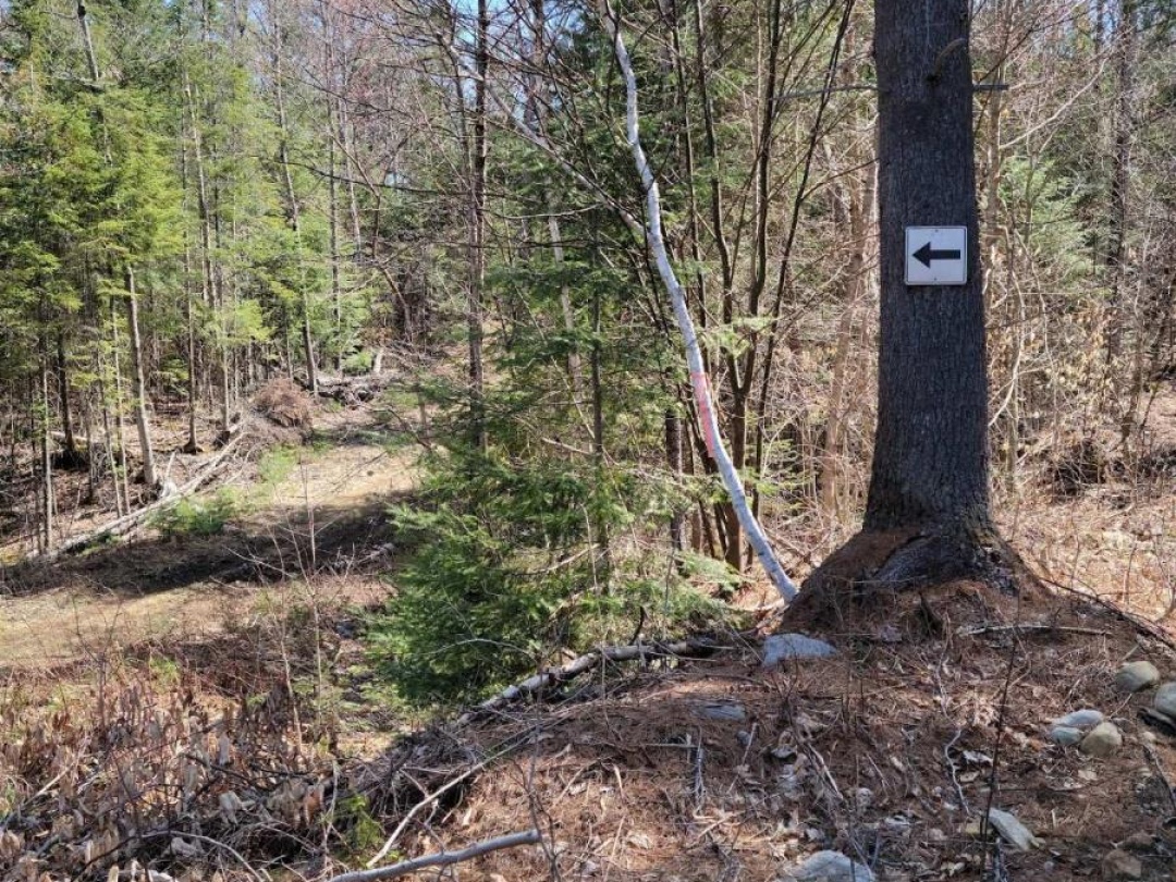 LOT 32 CONCESSION 11,