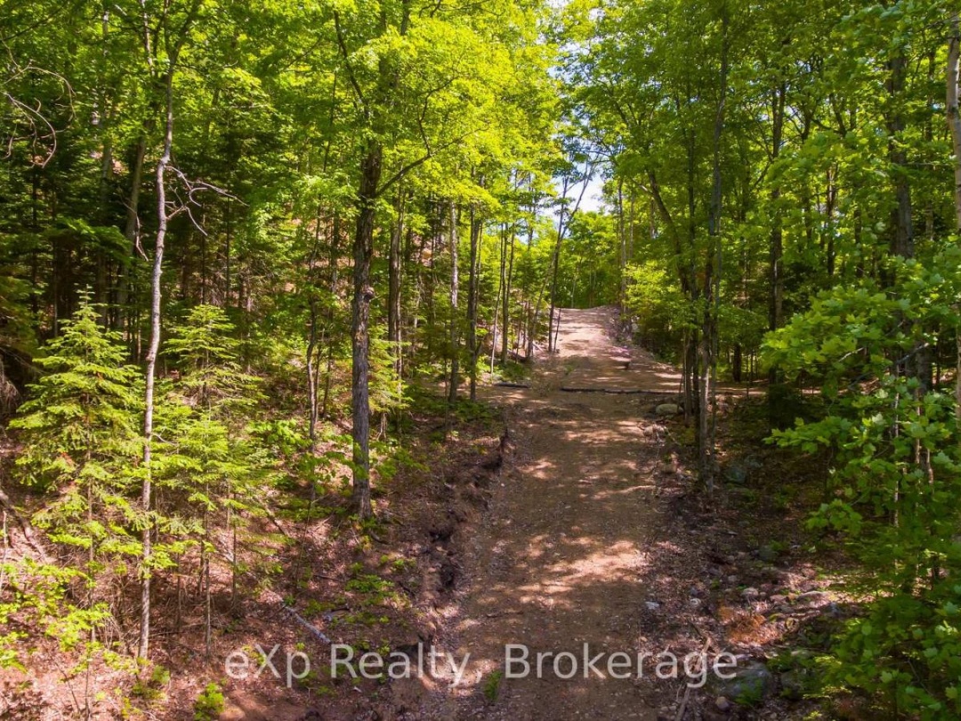 Lot # 4 Gonnsen Trail, Drag Lake