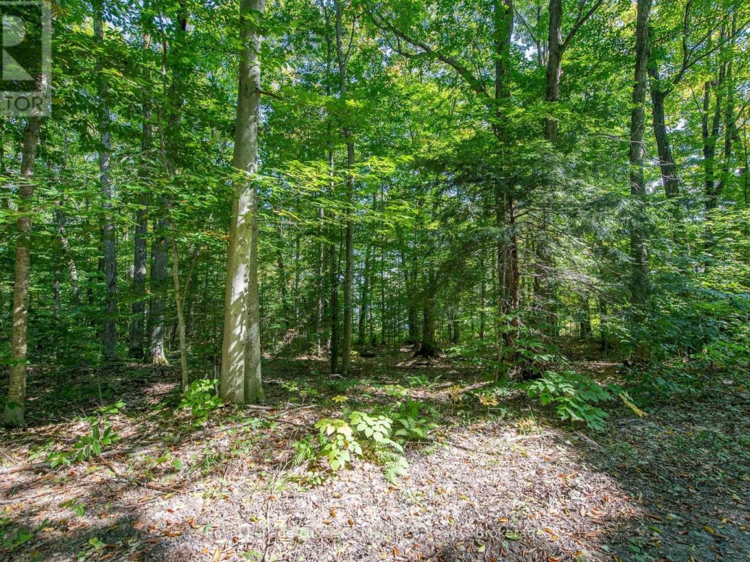 437 OTTER LAKE ROAD, 