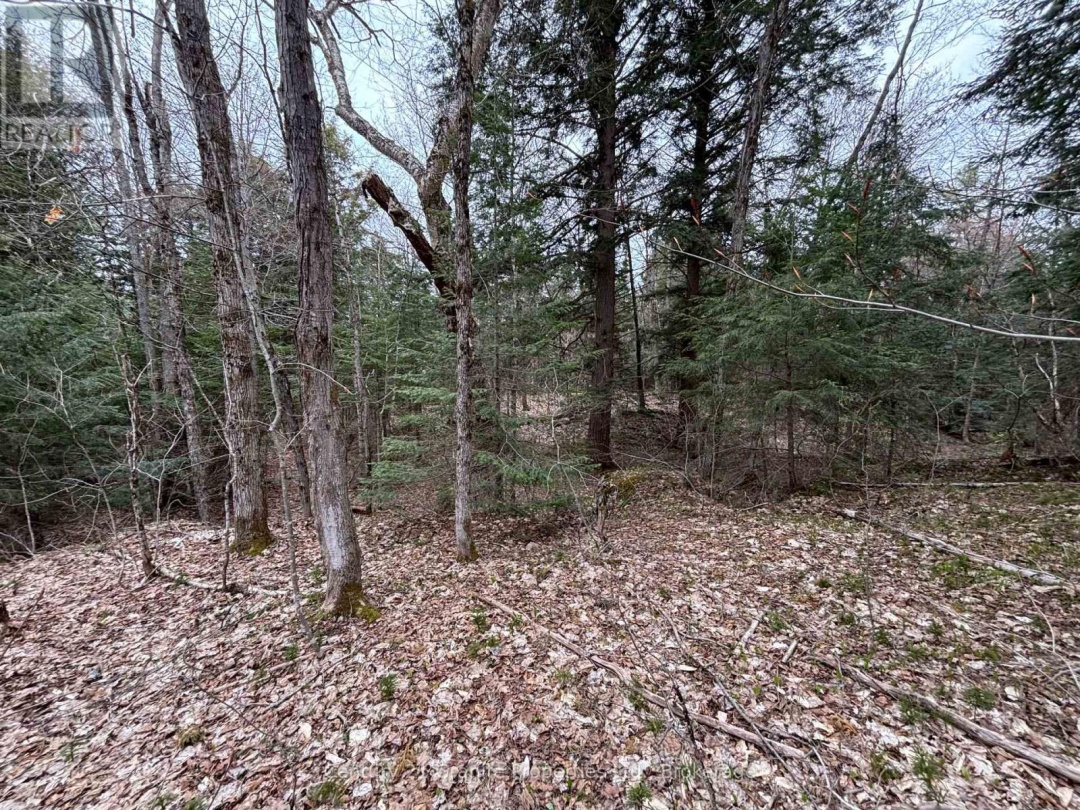 LOT 1 LOCH ERNE ROAD, McDougall