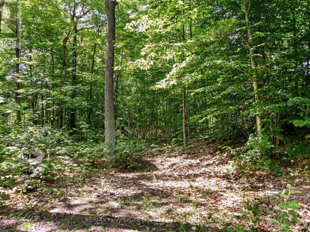 34A BELL LAKE ROAD, 