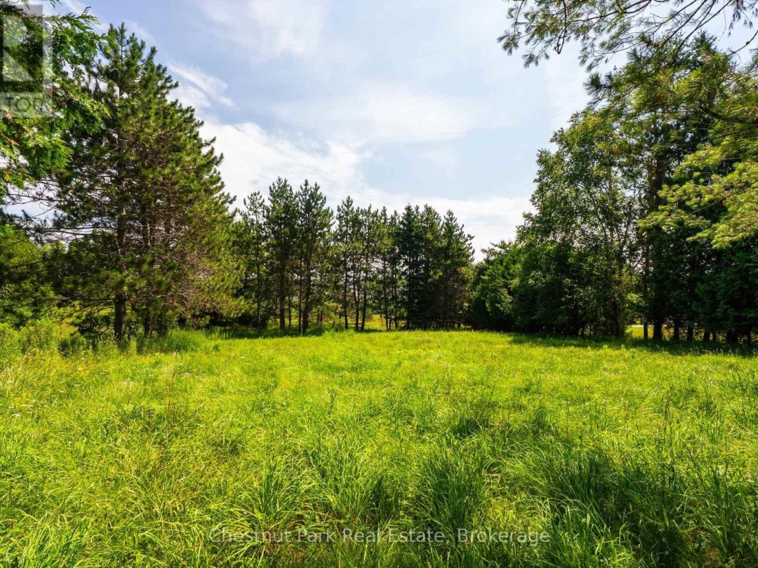 8 DANDELION LANE, 