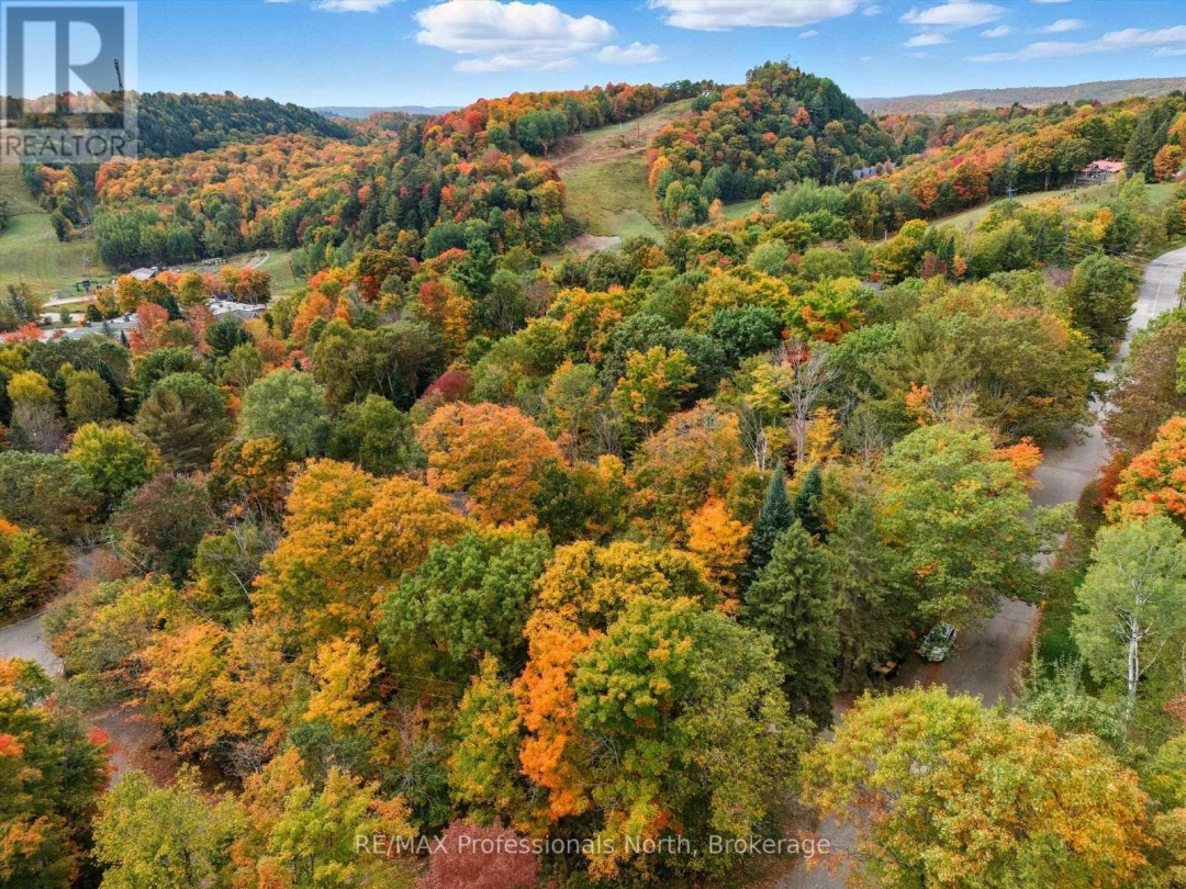 1755 SKYLINE DRIVE, 
