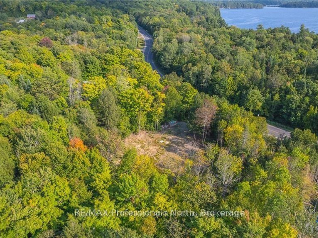 1205 Little Hawk Lake Road, Algonquin Highlands