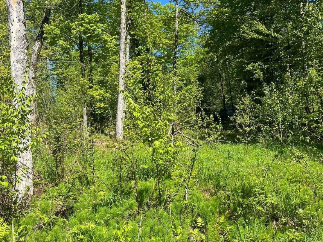 0 TRAPPER'S TRAIL ROAD, 