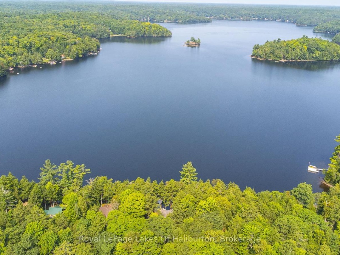 1117 Trellis Trail, Bob Lake