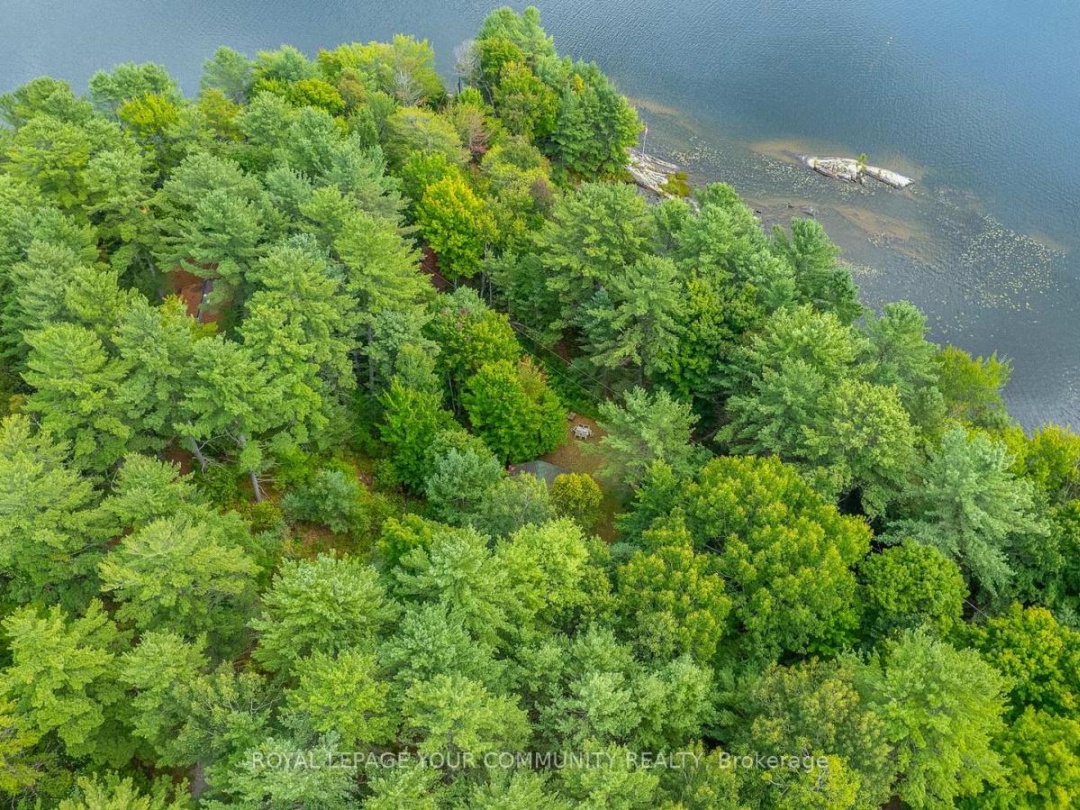 1031 Obelisk Trail, Davis Lake