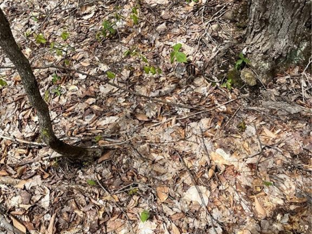 LOT 133 BRENNAN CIRCLE, 