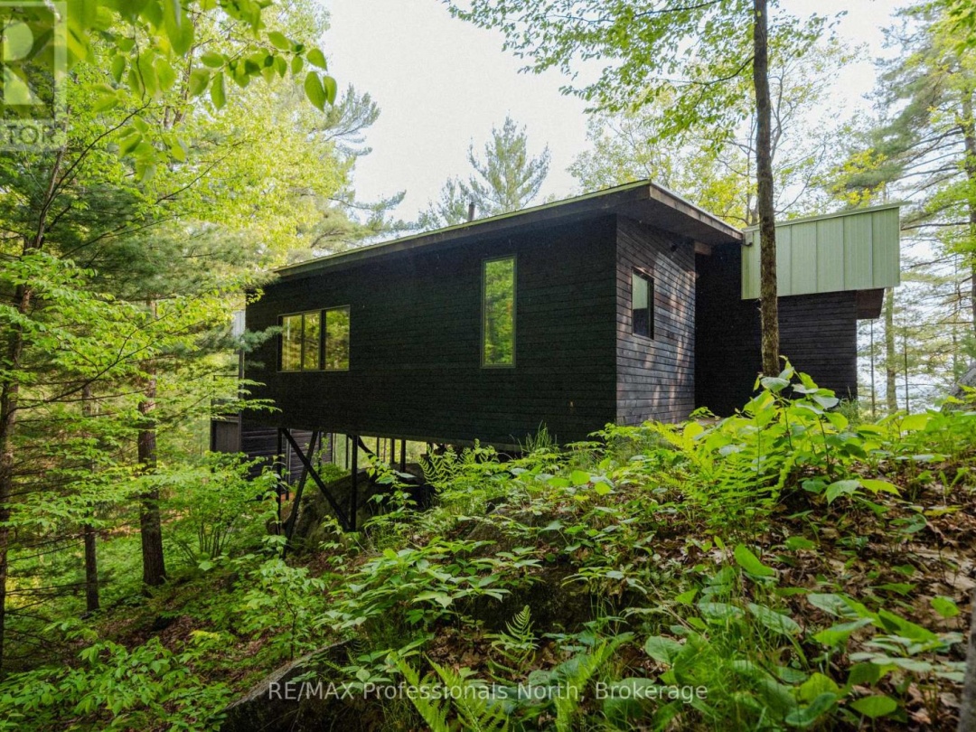 11405 DRAG LAKE EAST SHORE, 