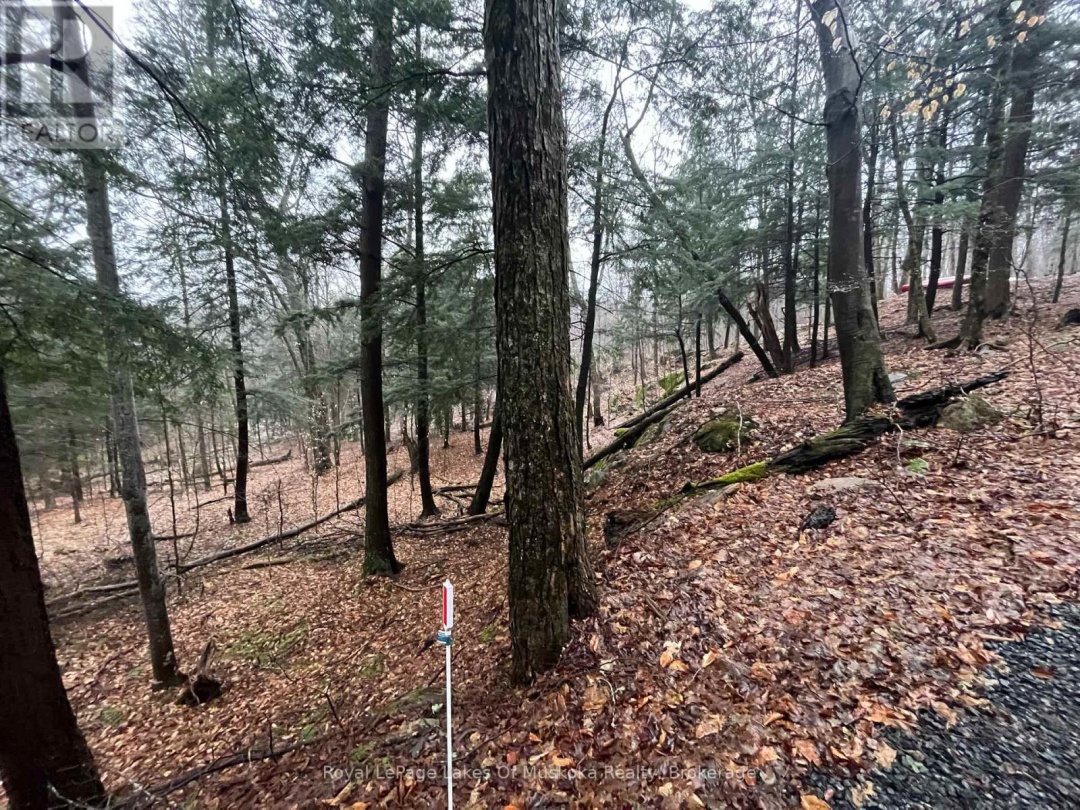 Lot 90 Lookout Point Road, Lake Vernon