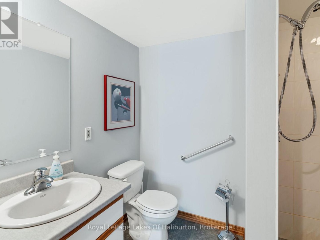 1089 PIONEER ROAD, Gooderham Lake