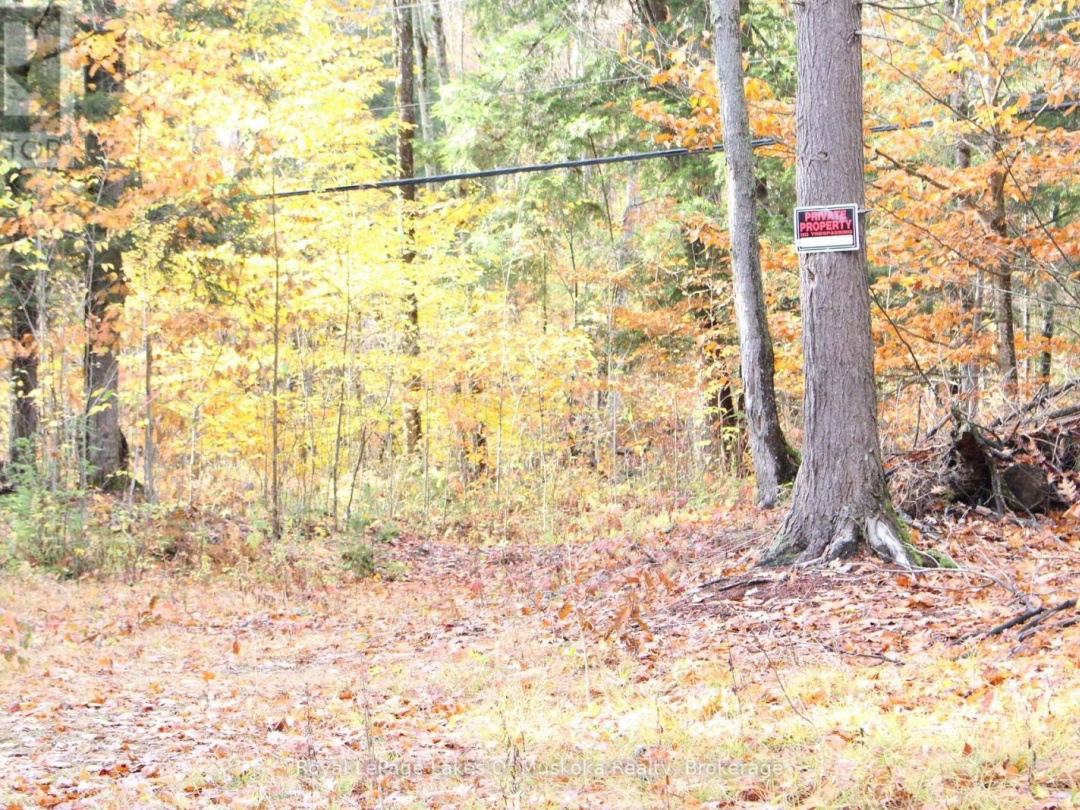 4120 SOUTH PORTAGE ROAD, 