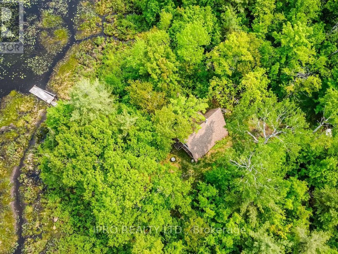 382 Corrievale Road, Little Lake