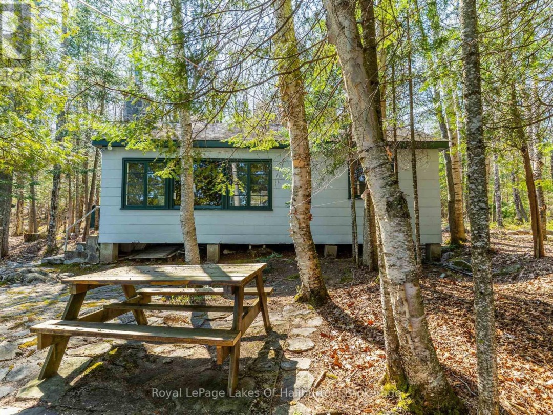 1096 Reg's Trail, Drag Lake