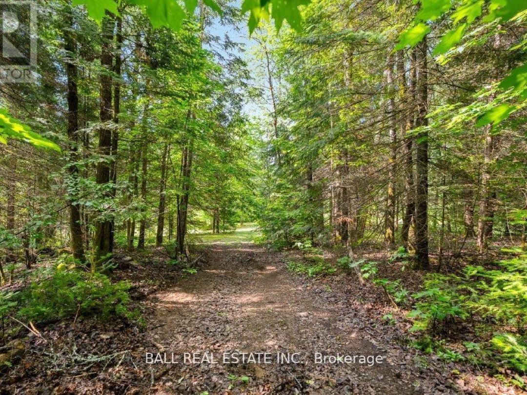 4263 LOOP ROAD, 