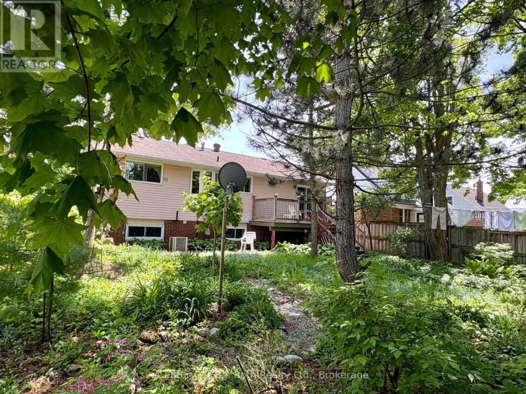 24 CHAMPLAIN STREET, 