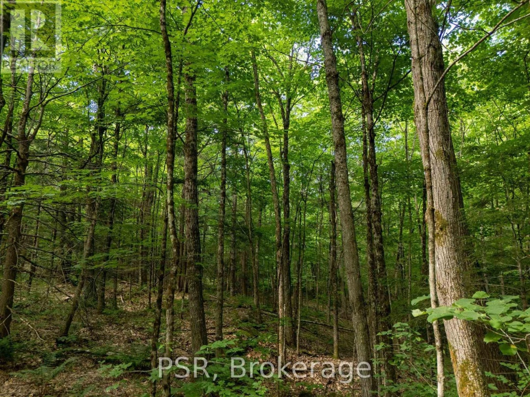 1465 CANNING ROAD, 