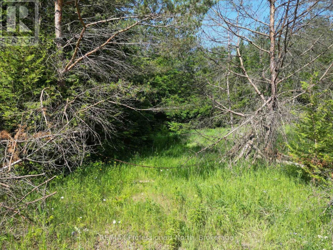 0 COUNTY ROAD 121, 