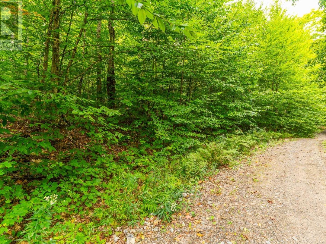 0 ADELINE TRAIL TRAIL, 