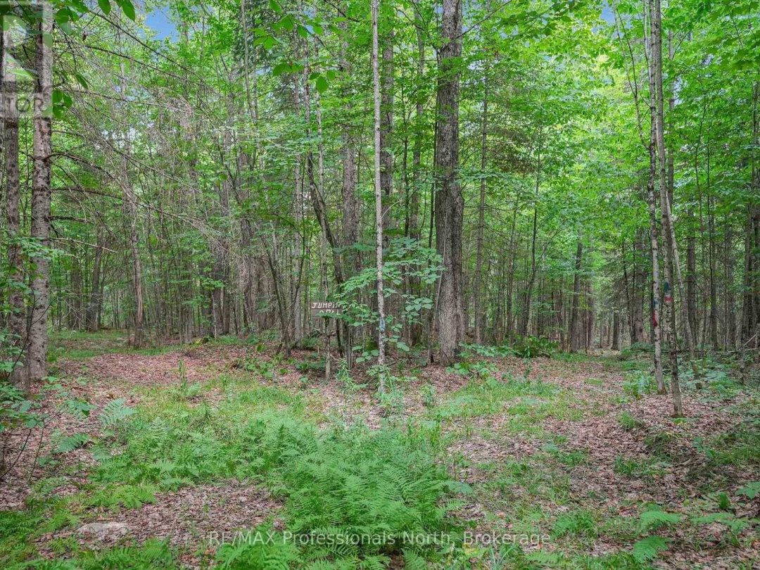 1453 MINNICOCK LAKE ROAD, 