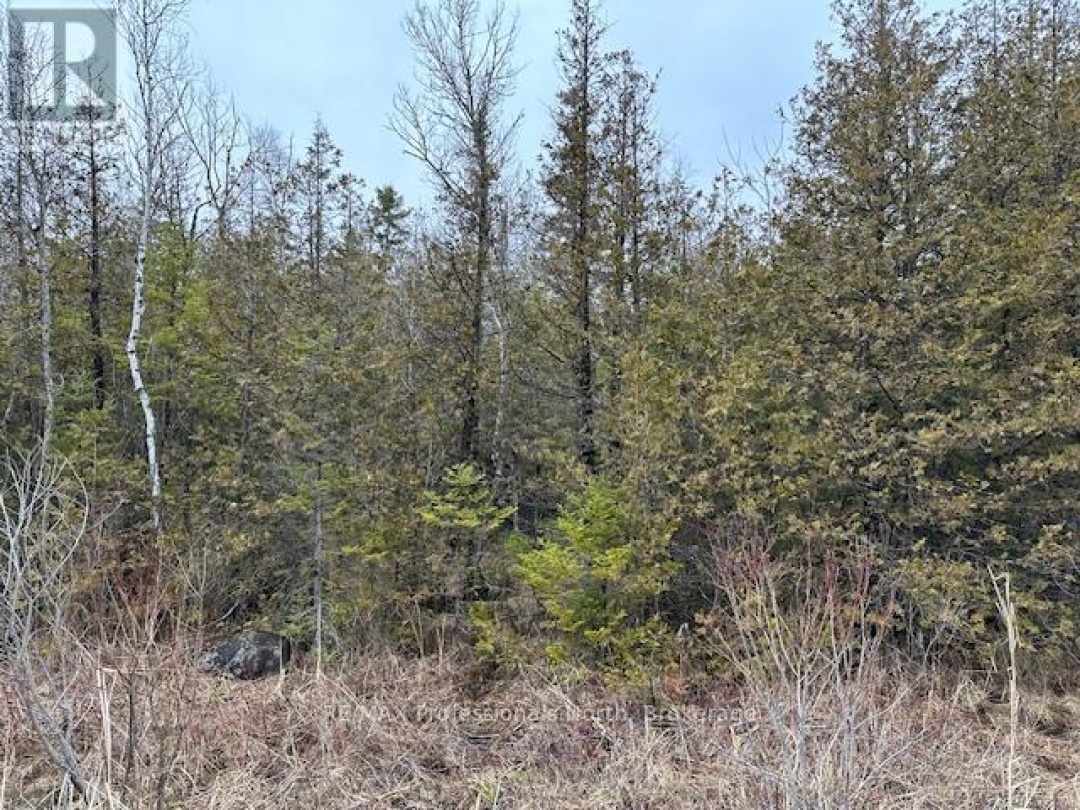 0 LAXTON BOUNDARY LINE, 