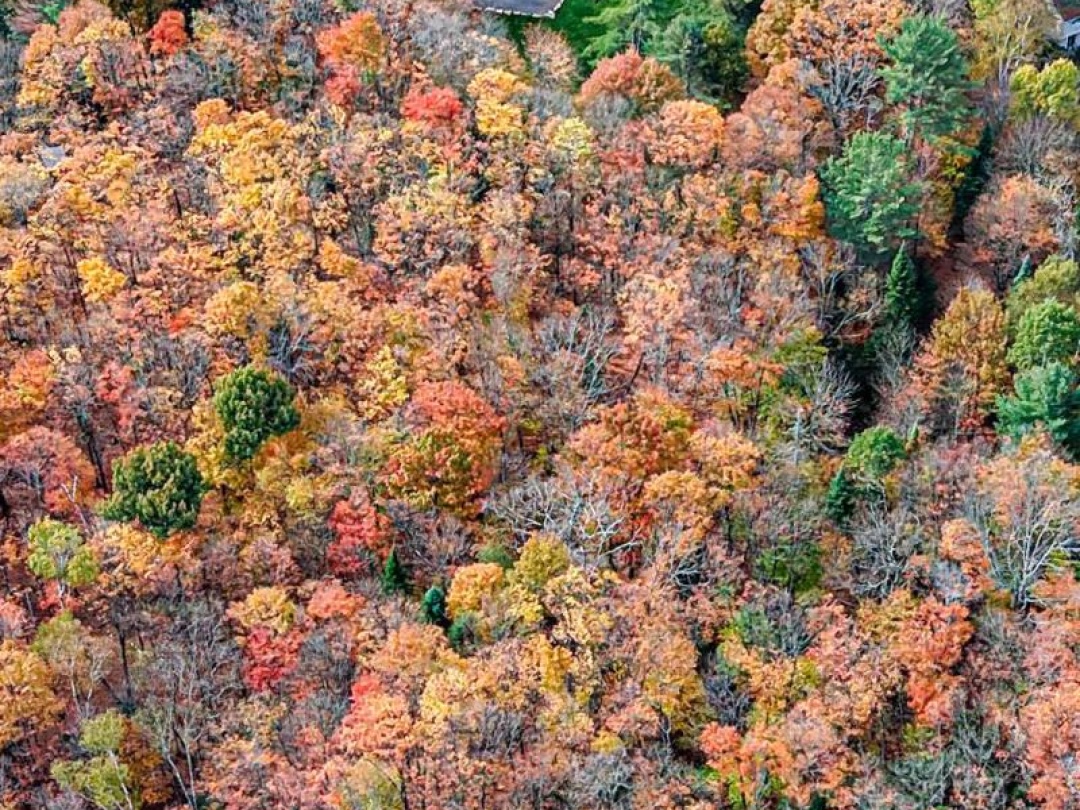 691 SOUTH WASEOSA LAKE ROAD, 