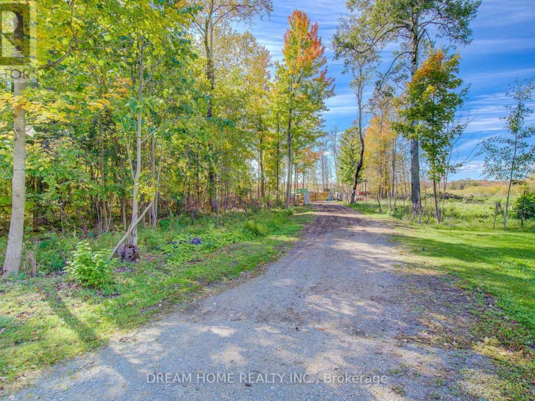 1119 SAJNOVIC PLACE, 