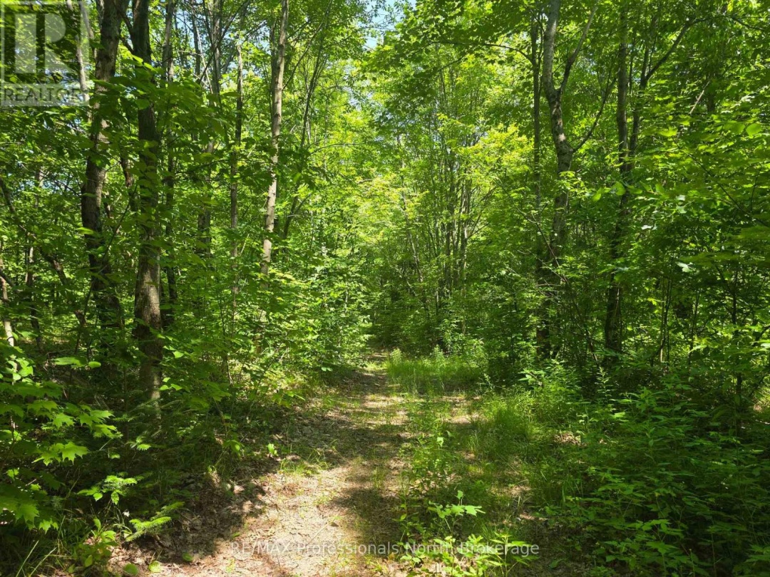 1134 WALKERS LINE ROAD, 