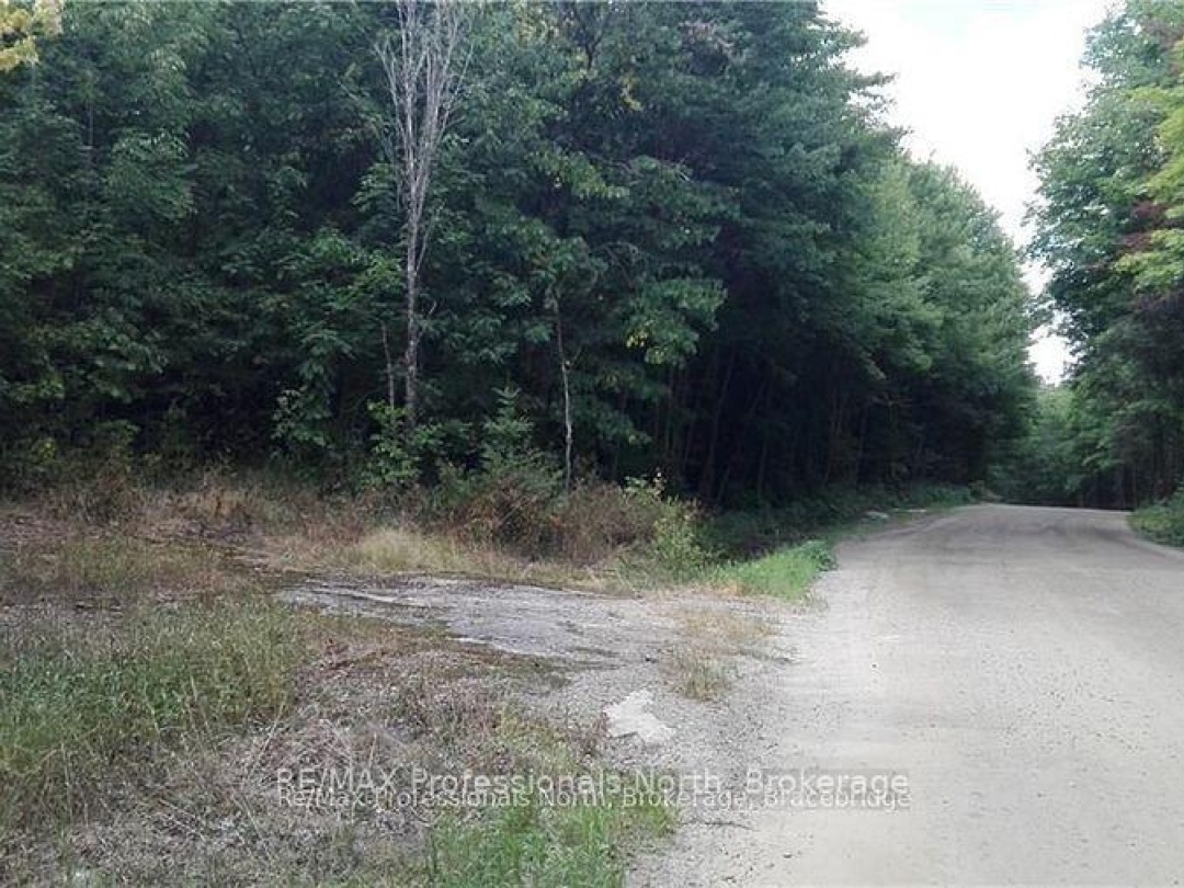 0A Healey Lake Road, Bracebridge (Macaulay)