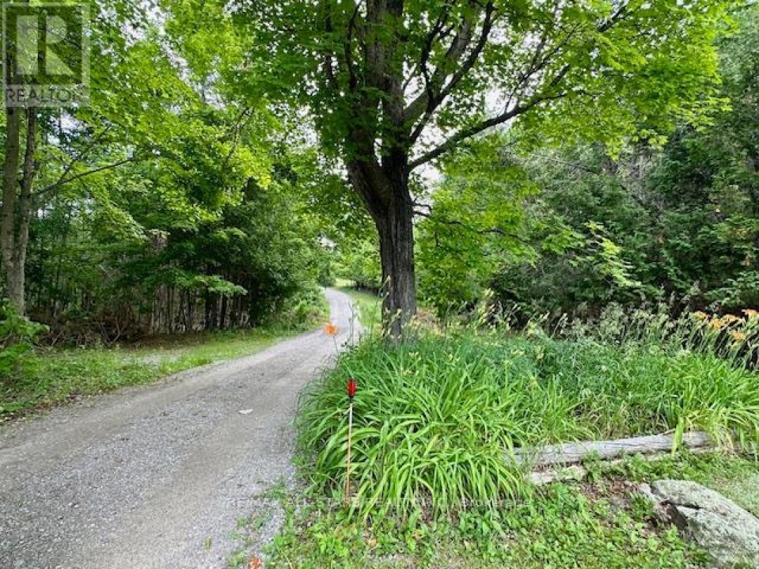 1177 COUNTY RD 36, 