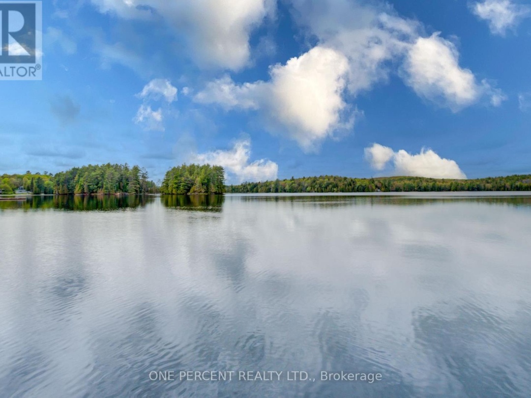 1105 Lakeshore Road, Gooderham Lake