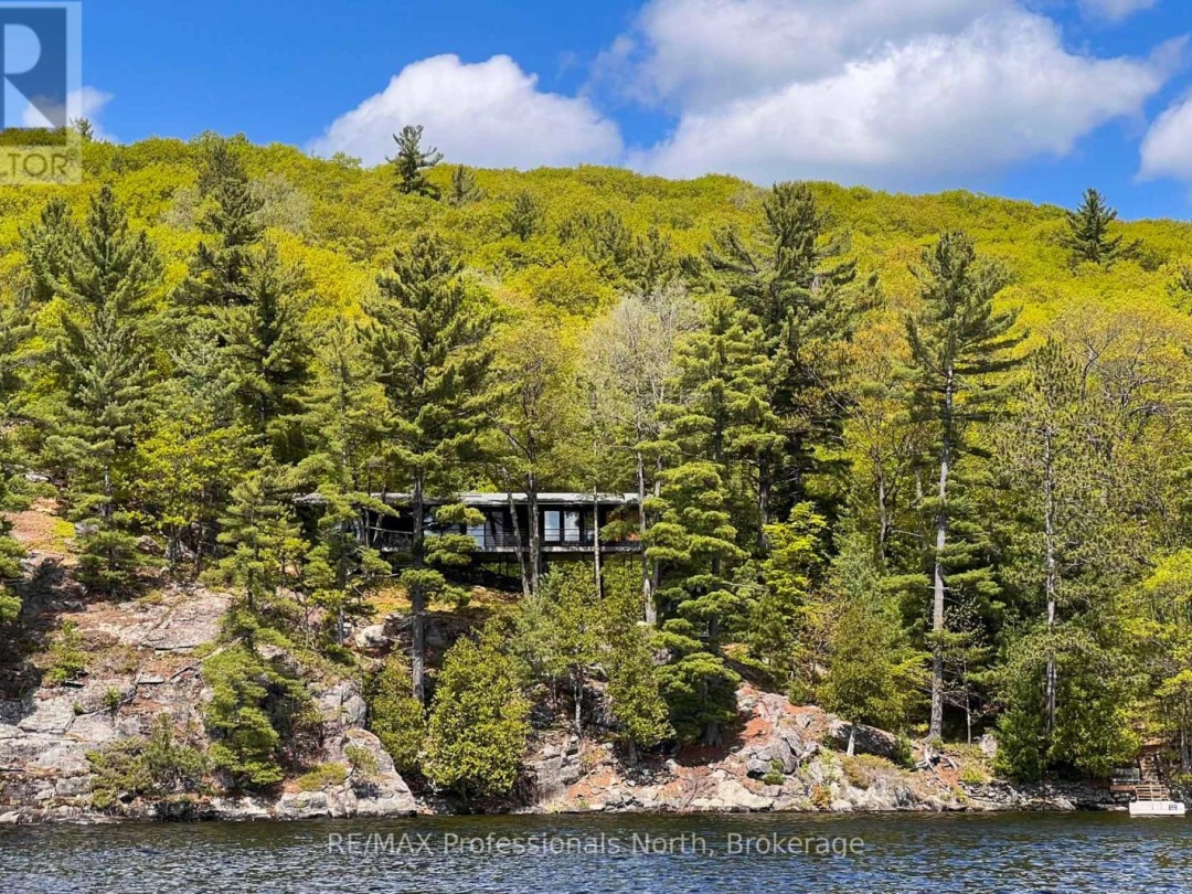 11405 DRAG LAKE EAST SHORE, 