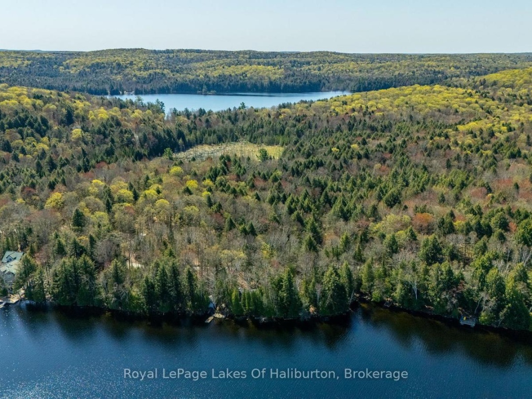 1096 Reg's Trail, Drag Lake