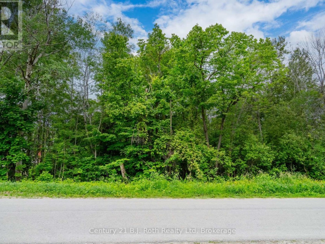 401 MCNICOLL STREET,