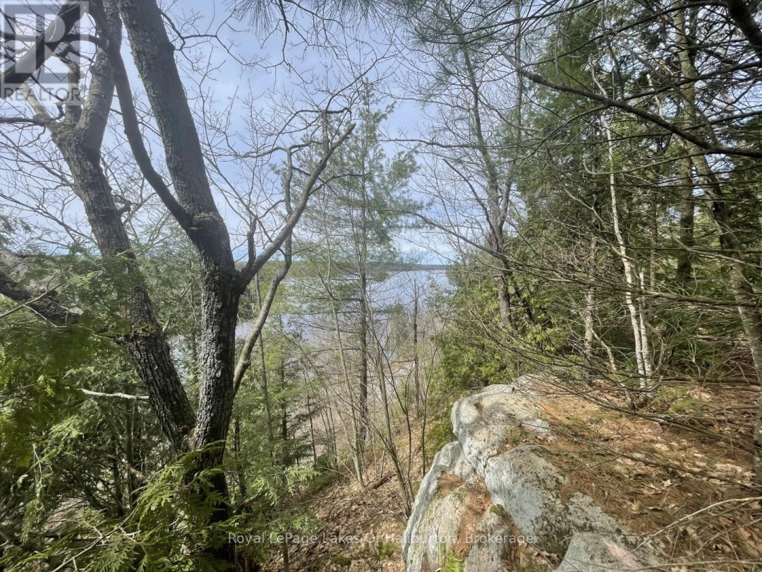 0 Starlight Road, Gull Lake