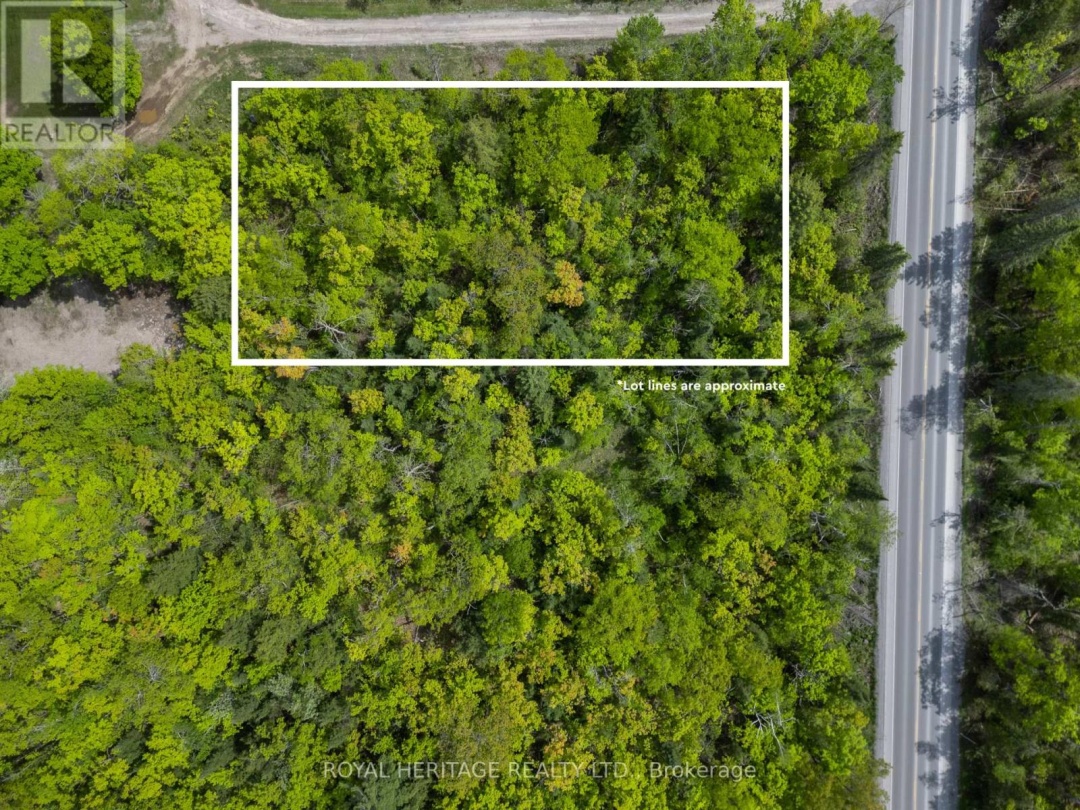 992 COUNTY ROAD 49, Trent Lakes