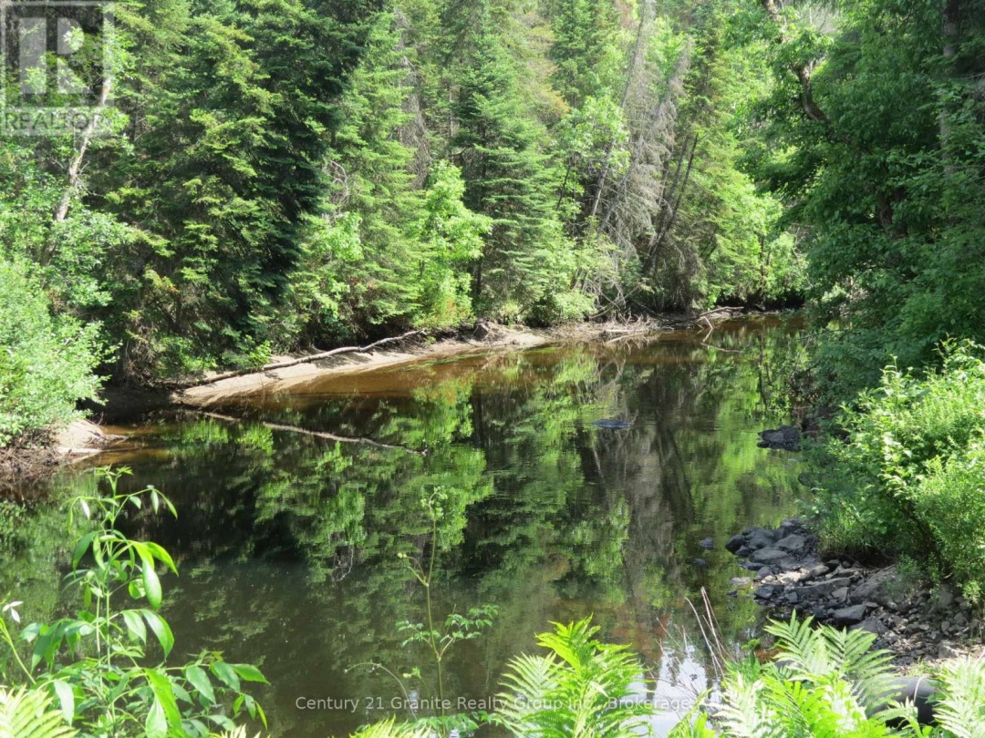 10208 COUNTY RD 503 ROAD, 