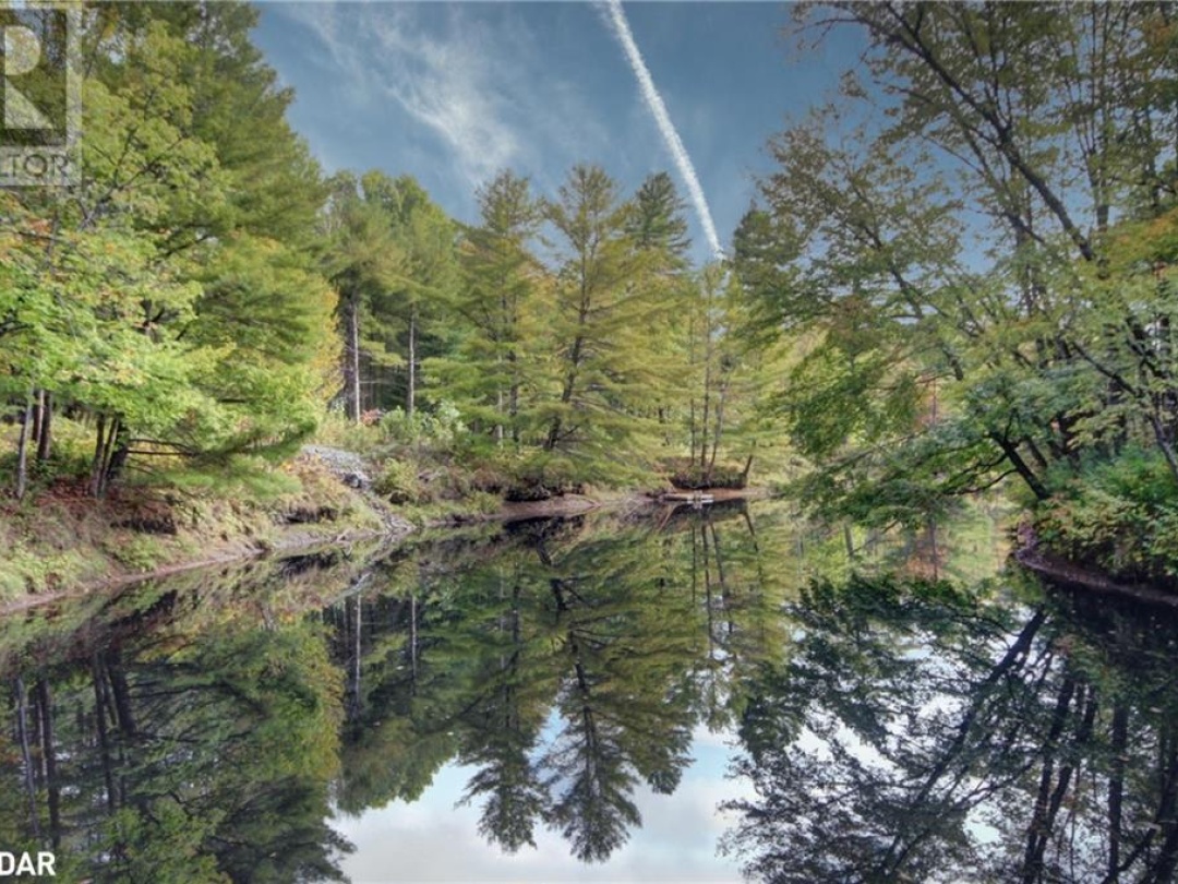 54 BLACK RIVER Road, 