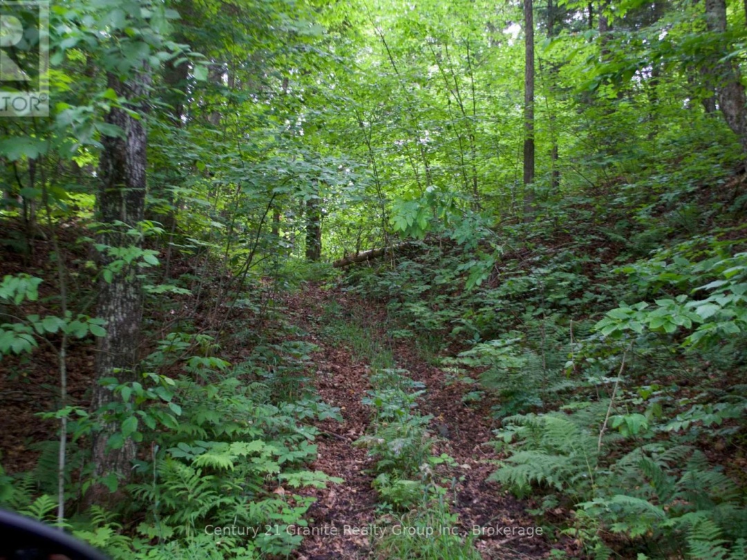 LOT 10 LOON LAKE ROAD S, 