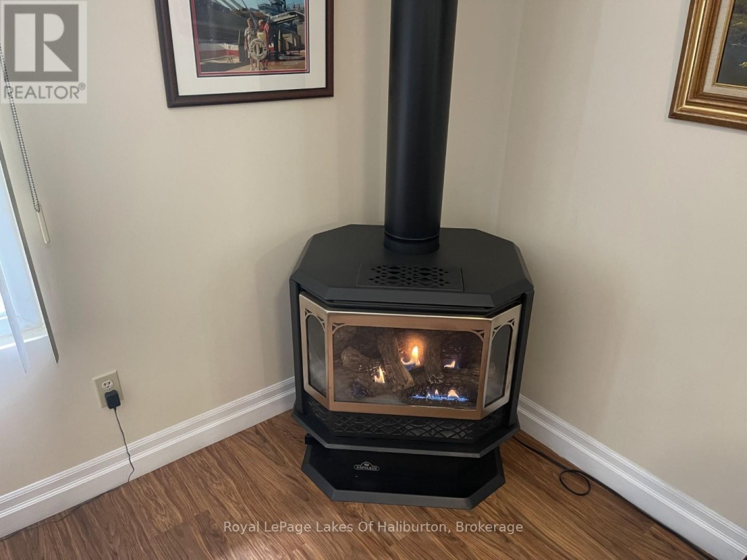 1675 BRAELOCH ROAD, Kennisis Lake